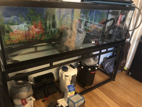 125 gal aquarium - gal,