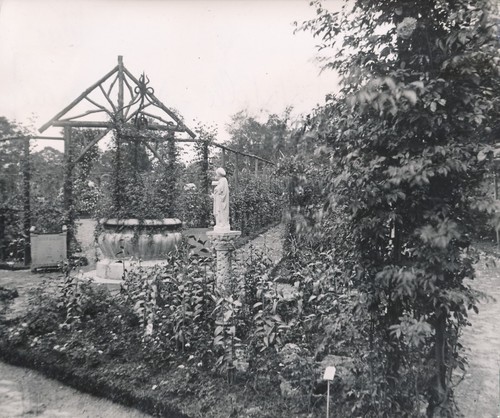 Paris 1900 bois de - 1900-20, -bois