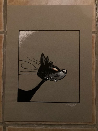 Sérigraphie chat noir - chat,