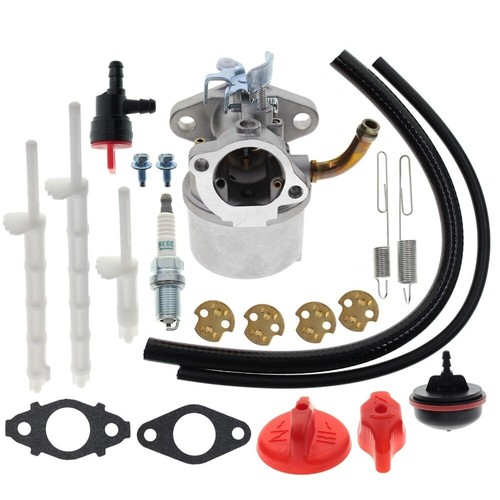Carburateur 594014 pour