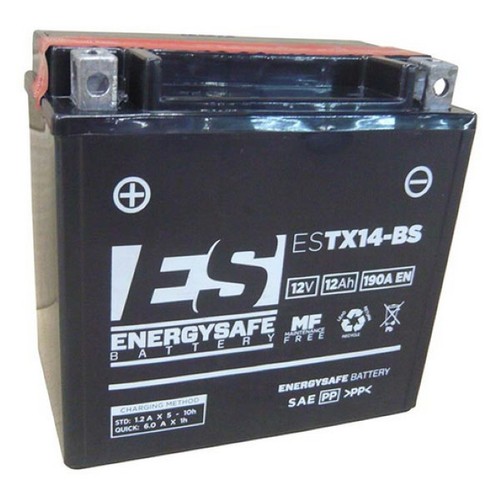 Batterie energysafe tx14 - batterie,