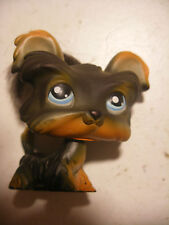 Hasbro Littlest PetShop PET