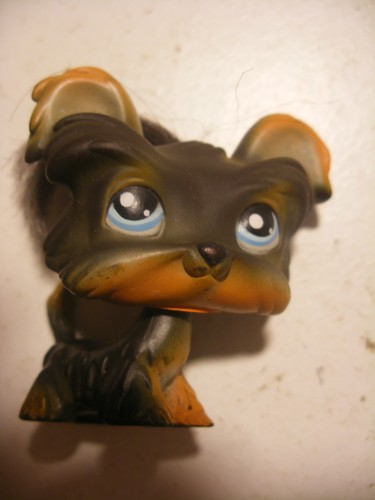 Hasbro littlest petshop - hasbro,