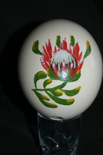 Oeuf autruche peint décor - peint,