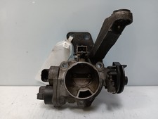 873633 corps de papillon