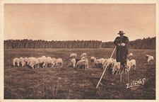 40 paysages landais Berger sur les echasses 113950