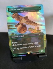 Birds of Paradise As African