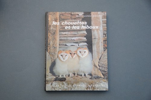 Ornithologier les chouettes - les,