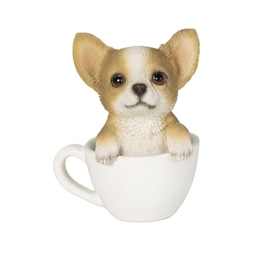Ubia chihuahua teacup small - chihuahua,