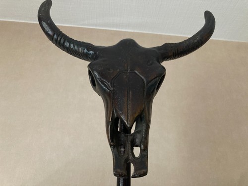 Crâne buffle en - crâne,