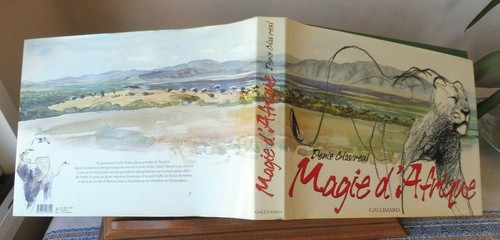 Clavreul denis magie afrique - denis,