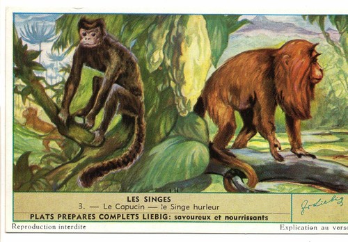 S1604 chromo liebig - chromo,