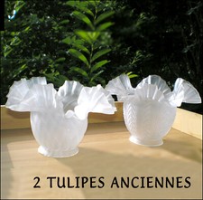 1900 TULIPES DE LAMPE LUSTRE