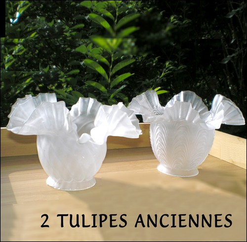 1900 tulipes lampe lustre - tulipes, de