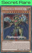 Yu-Gi-Oh! Surnaliche le Seigneur d'Or - V.1 : SE RA01-FR019