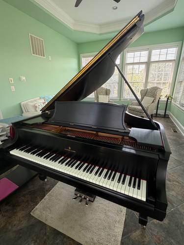 1925 steinway model grand - steinway,