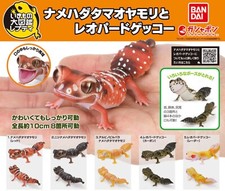 Ensemble complet de figurines