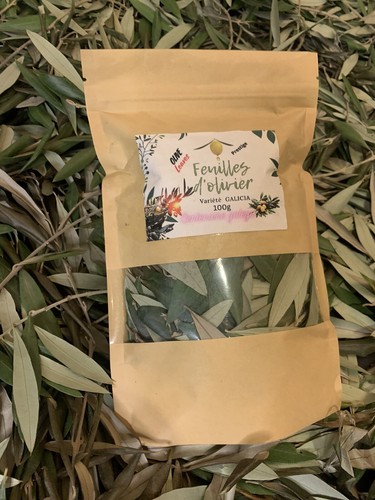 Feuilles oliviers - feuilles, d’oliviers