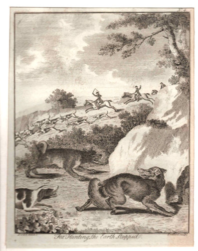 19th century engraving fox - -,
