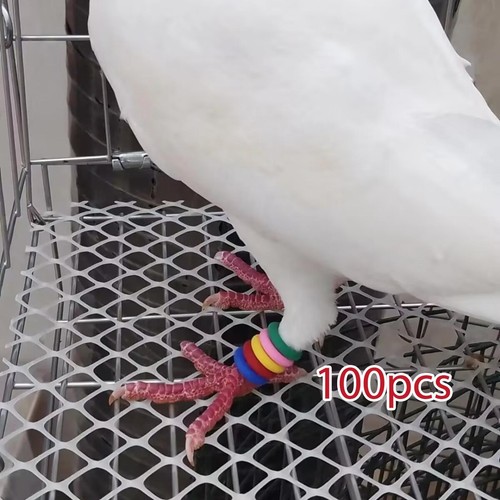 100 bagues identification - 100,