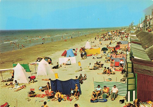 Bray dunes plage - dunes,