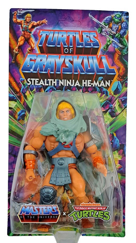 Motu tmnt tortues - tortues, of