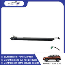 🇫🇷 VERIN HAYON D PEUGEOT