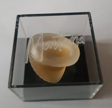 Miniature Eau de Parfum