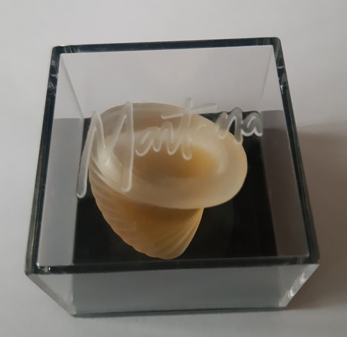 Miniature eau parfum - miniature,
