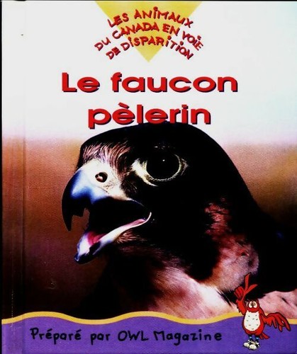 Faucon pèlerin collectif - pèlerin,