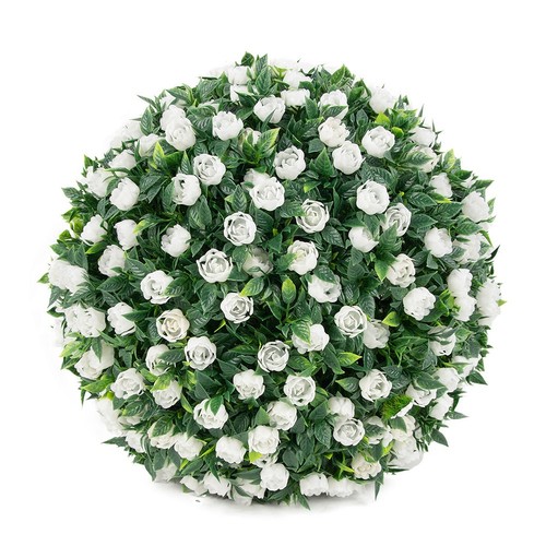 Boules plantes - boules, de