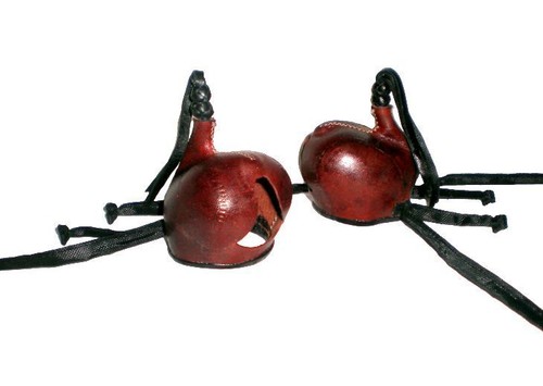 Fauconnerie capuche anglo - fauconnerie,