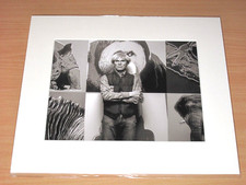 LUMAS PHOTO IMAGE - ANDY