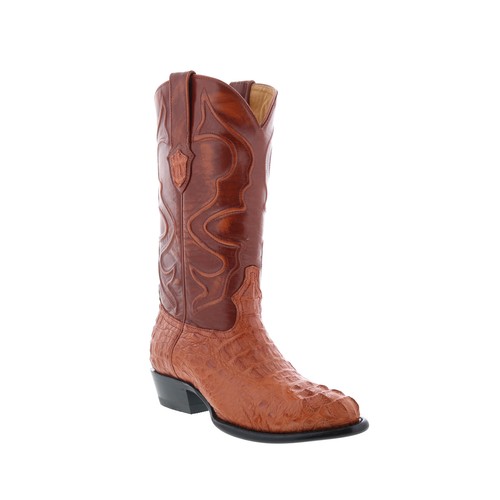 Wild west caiman hornback - wild,