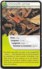 Carte Bioviva! - Grenouille cornue