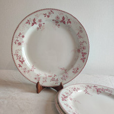 Plats Service Dugazon De Boch