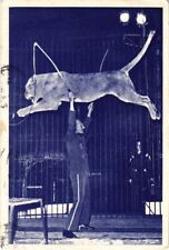 PC RADIO-CIRCUS SIDNEY HOWES AND HIS WILD LIONS CIRCUS LION DRESSEUR (a31094)