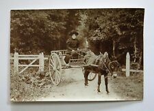 ANE & CARRIOLE, photographie ancienne, carriole et son âne,1880-1890, rare . 