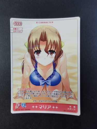 Hayate the combat - combat, bulter