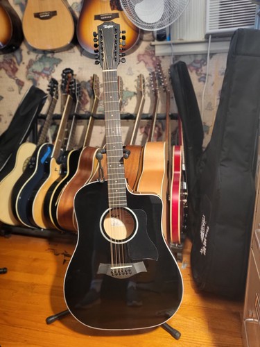 Taylor 250ce black - black, plus
