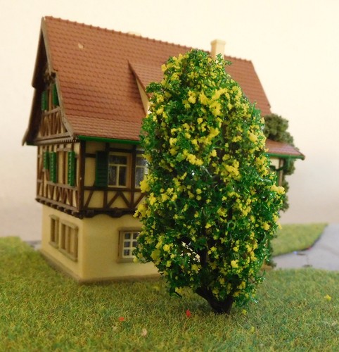 Buissons jaunes fleurs - buissons,