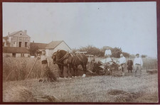 Scène Fenaison Battage Agriculture Javeleuse Origny le Sec Creney Vailly Vence