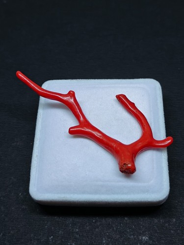 Bâton branche poli - branche, corail
