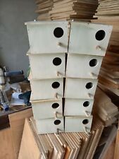 10 Nid Perruche Ondulée 