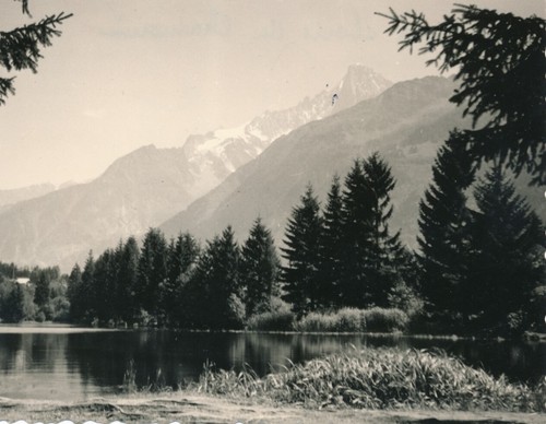 Snapshot vintage photo - vintage,