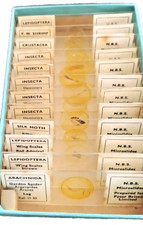 Instrument scientifique - ,
