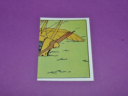 Panini tintin herge - tintin,