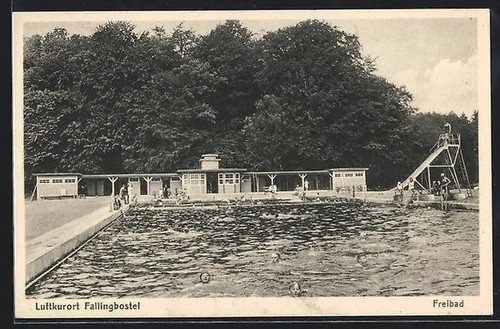 Carte postale fallingbostel - carte,