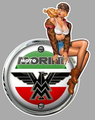 Moto morini right pin - moto,