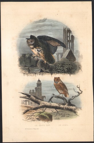 1853 gravure aquarellée - 1853,